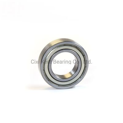 Rolamentos radiais Dgbb 69 série 6900 6901 6902 6903 6904 6905 RZ Rolamentos de esferas para máquinas
